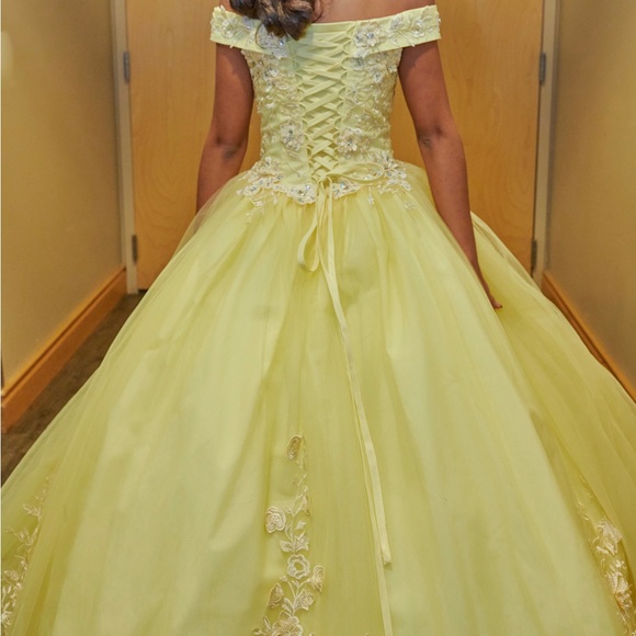 Quincenera Dress - Picture 2 of 2